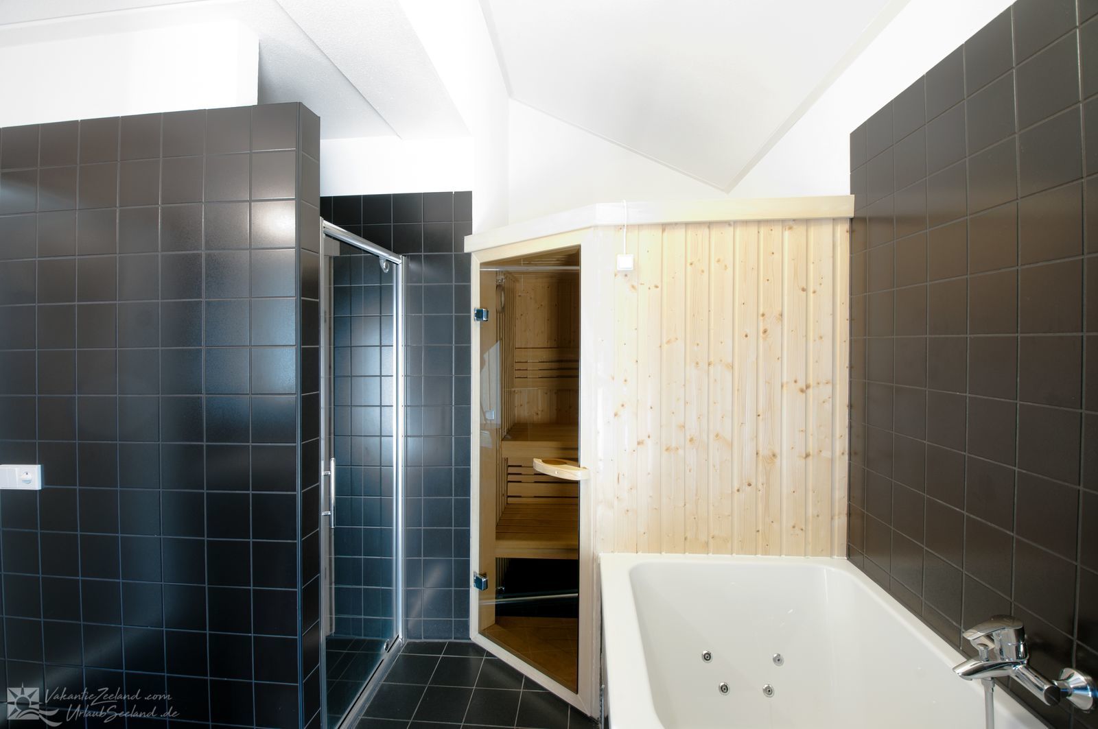 VZ747 Wellnessvilla Tholen