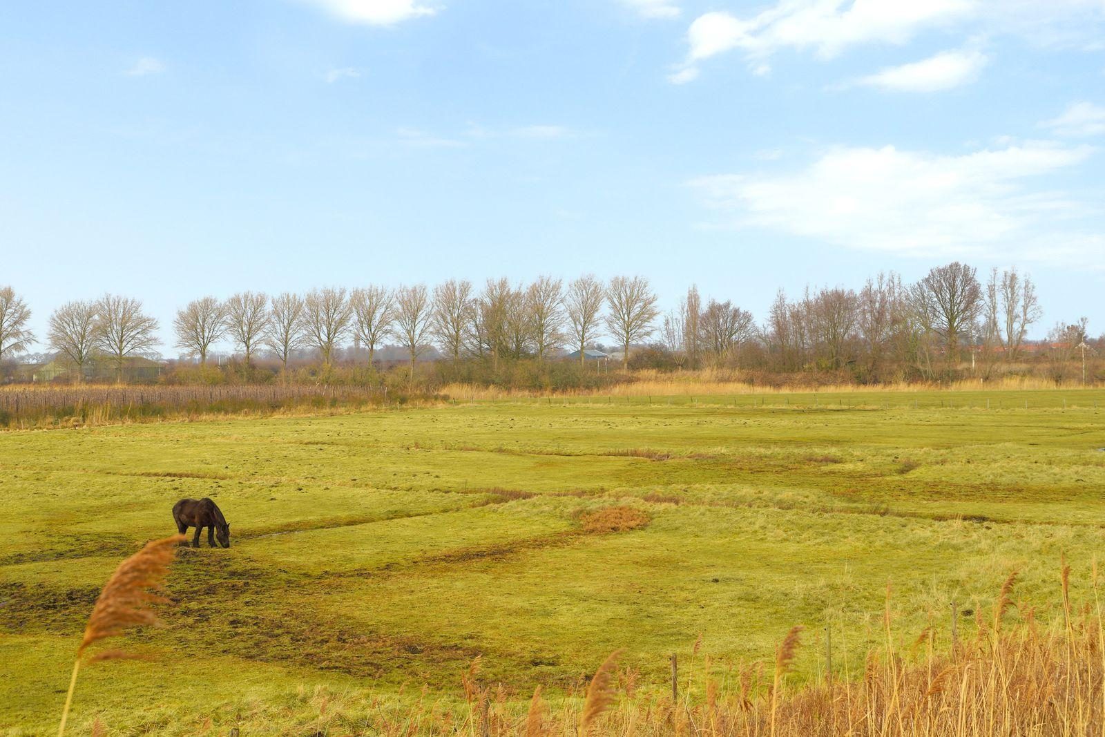 VZ760 Vakantiewoning in Baarland