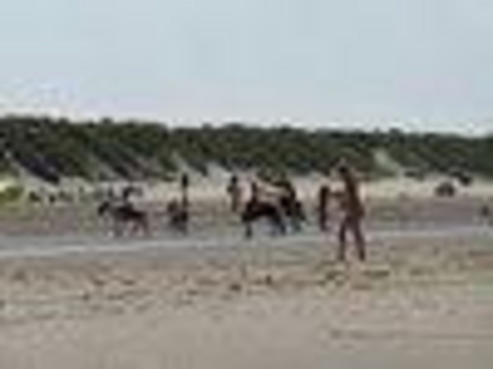VZ763 Ferienbungalow Renesse