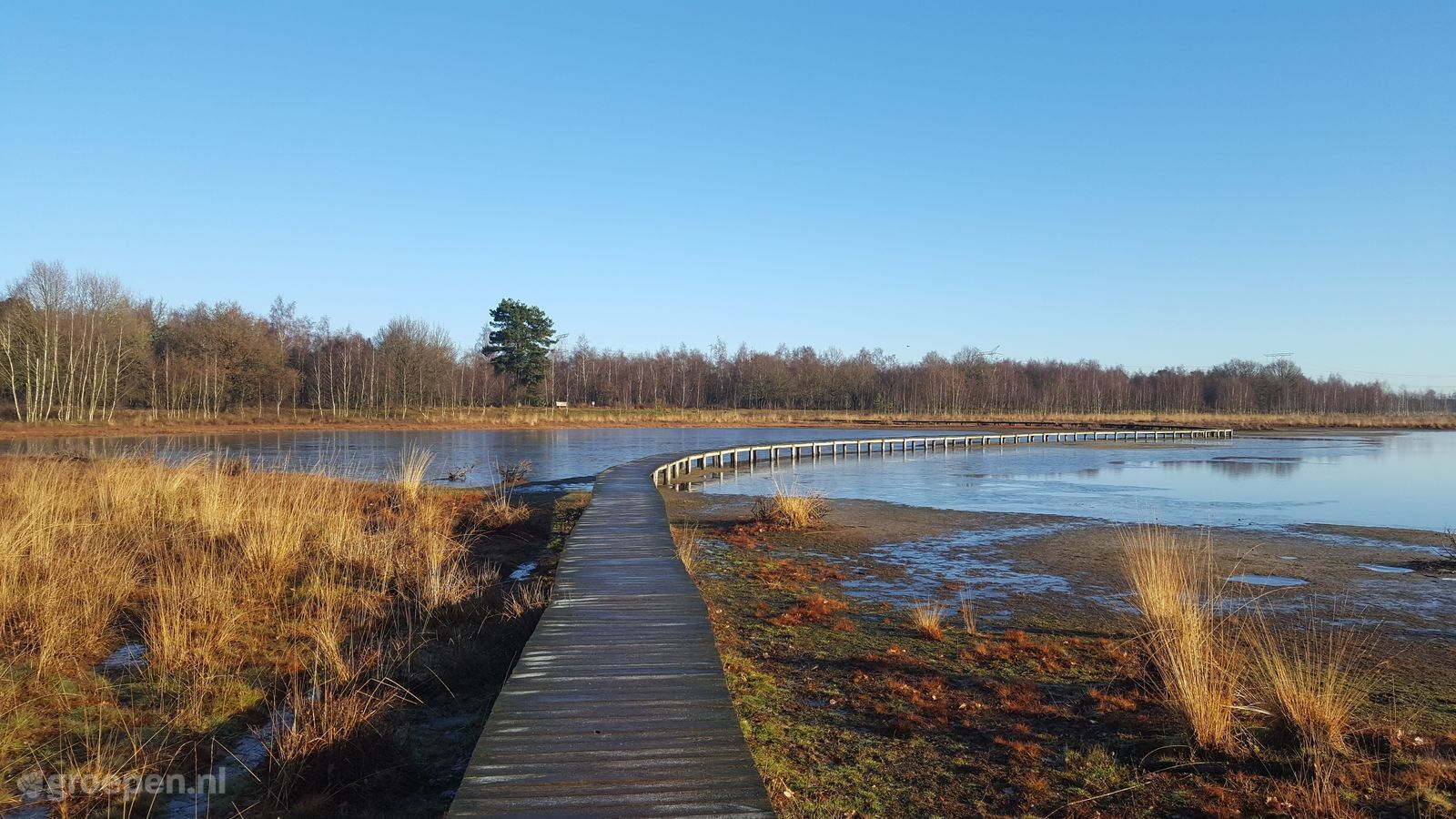 De moer