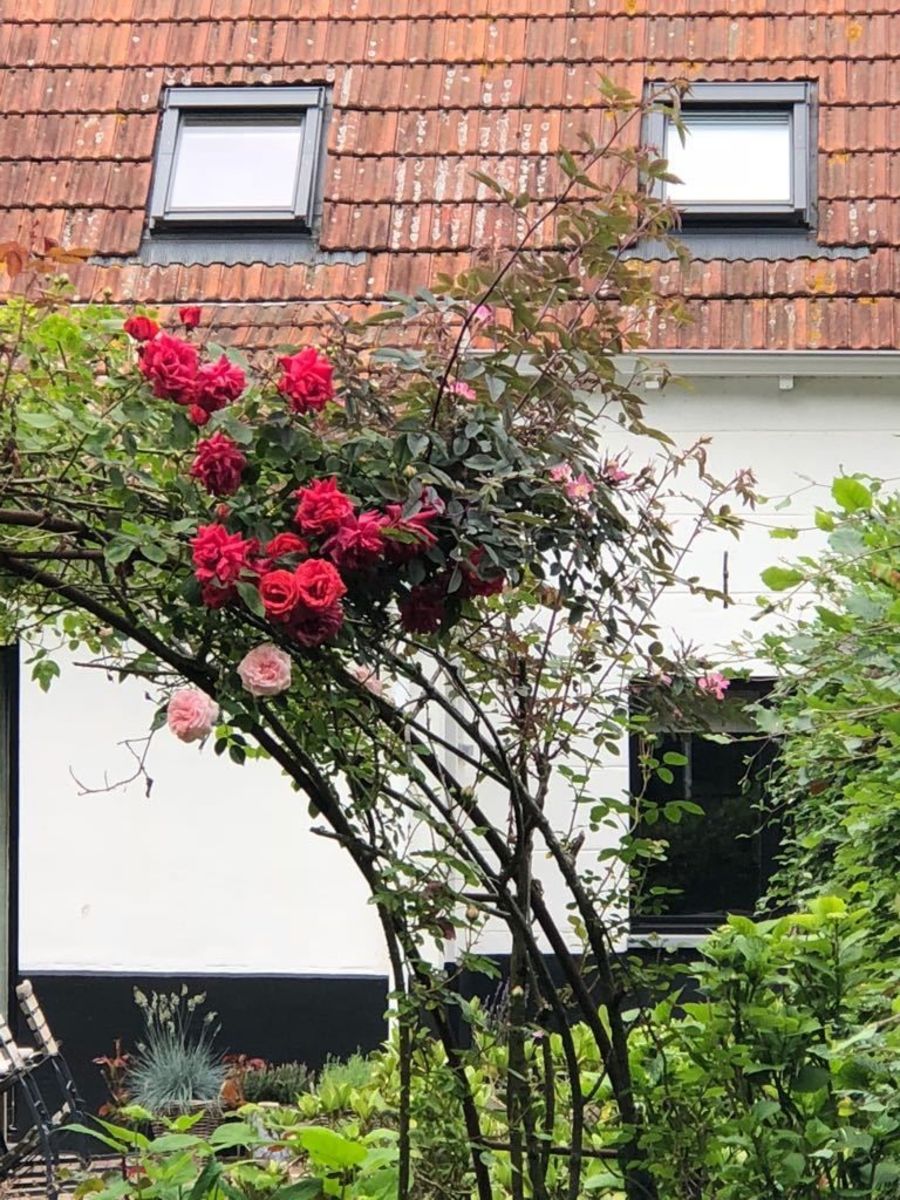 Holidayhome - Puijendijk 2 | Groede