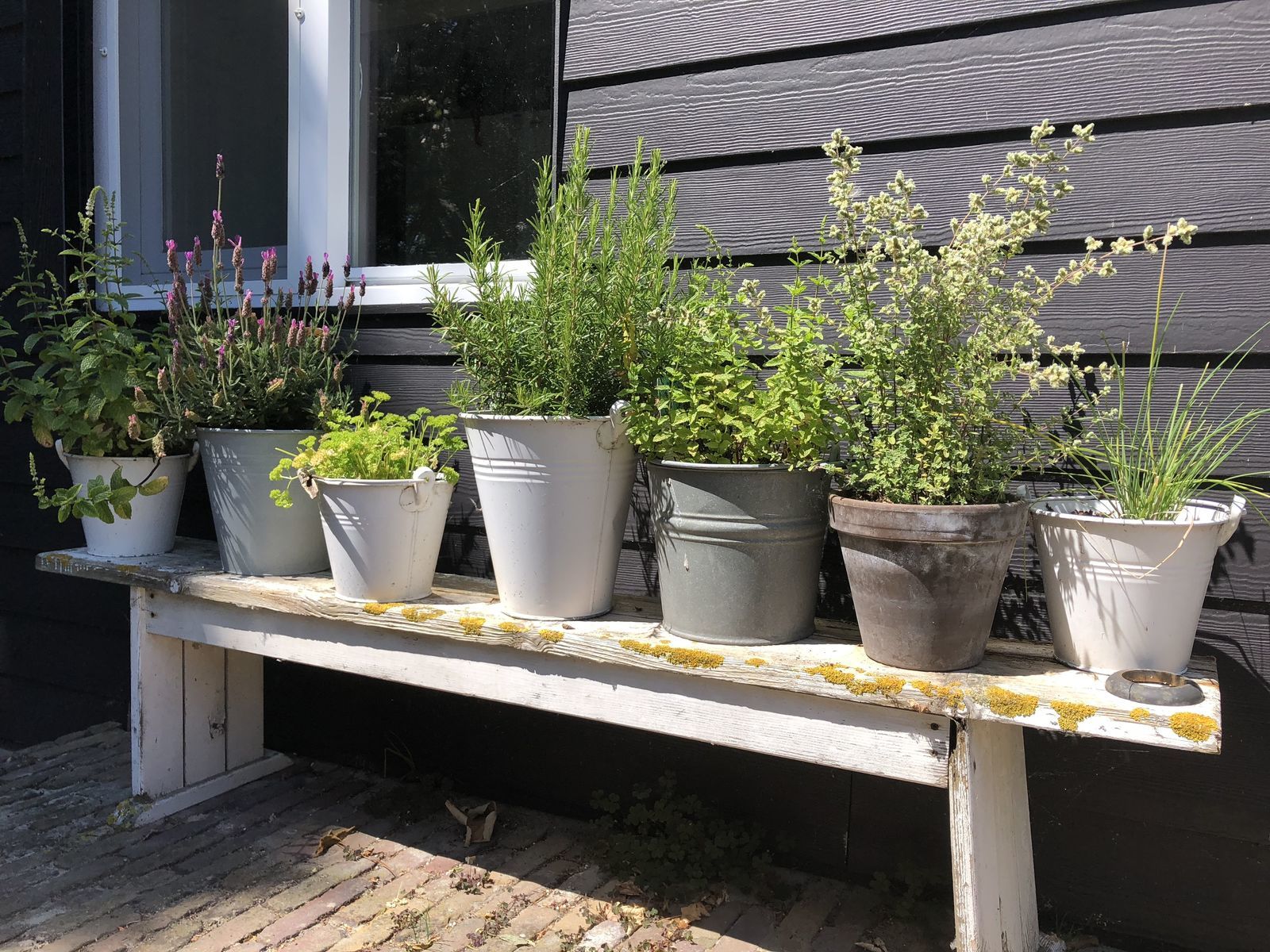 Holidayhome - Puijendijk 2 | Groede
