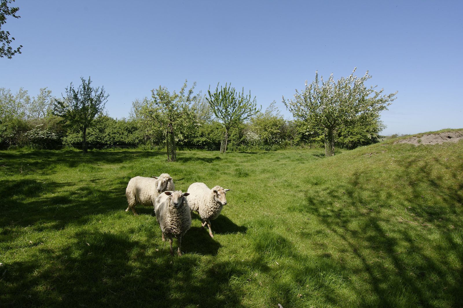 Holidayhouse- Blauwpoortseweg 7 | Zoutelande 'Duel'