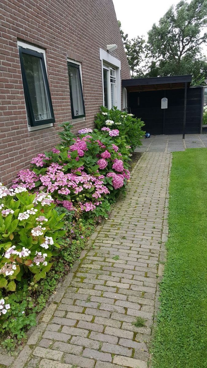 Holidayhouse- Blauwpoortseweg 7 | Zoutelande 'Duel'