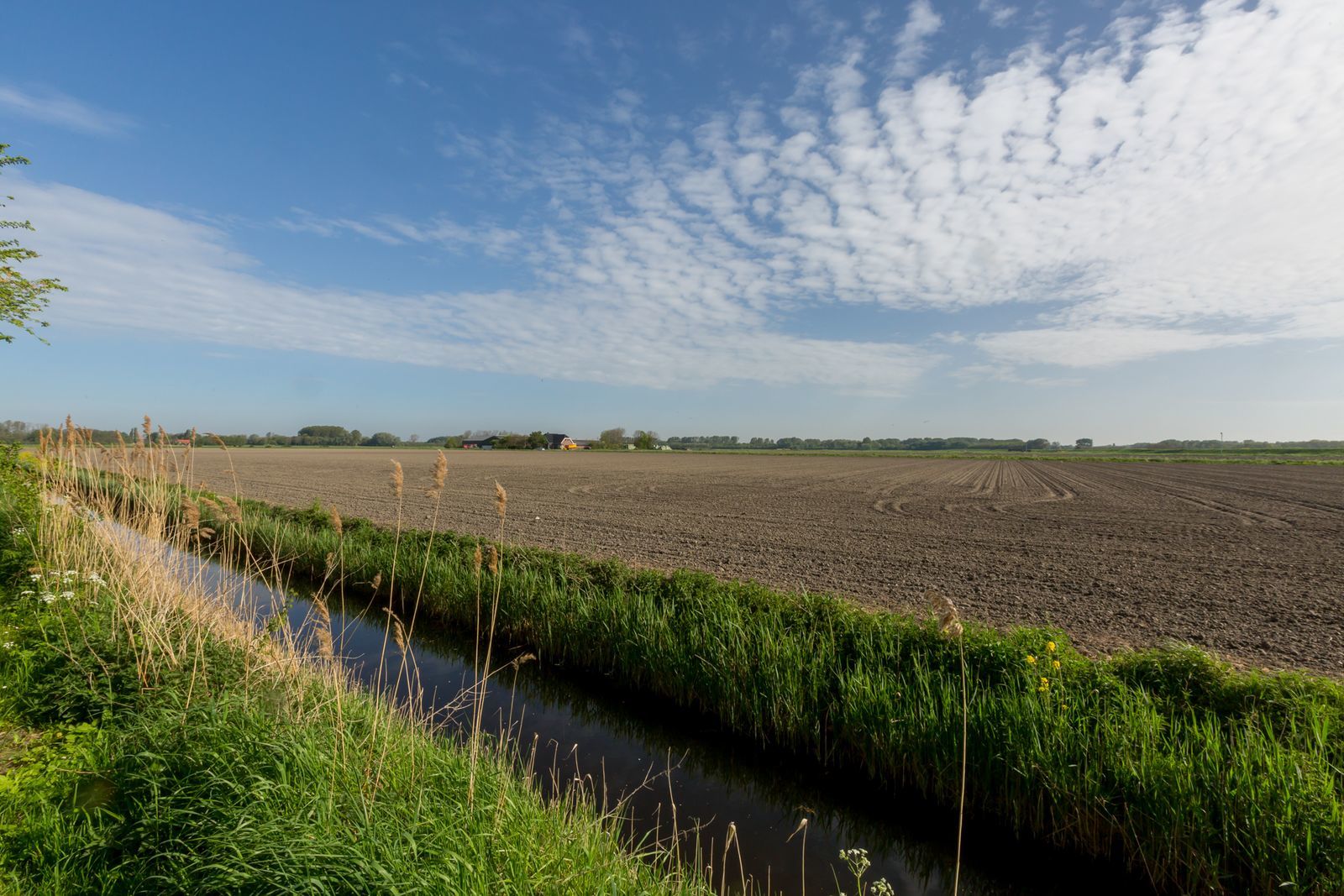 Chalet Goedereede