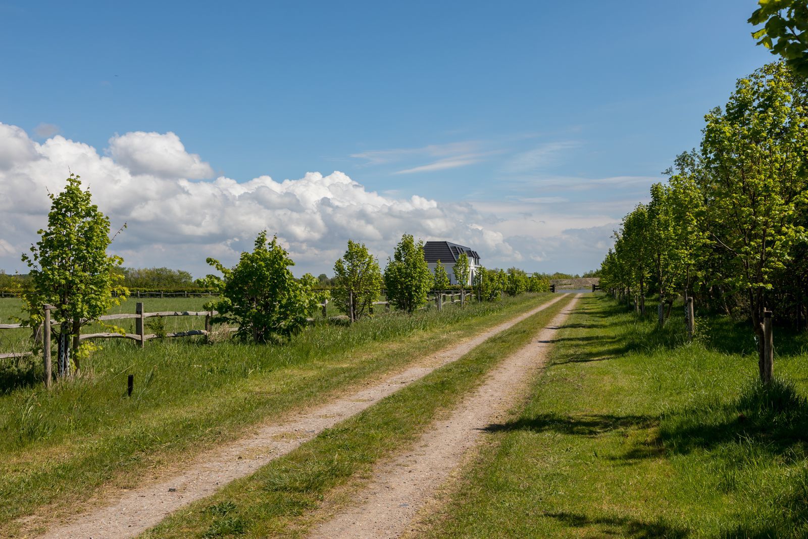 Landgoed - Houtenburgseweg 46 | Zoutelande 'Landgoed Zoutelande'
