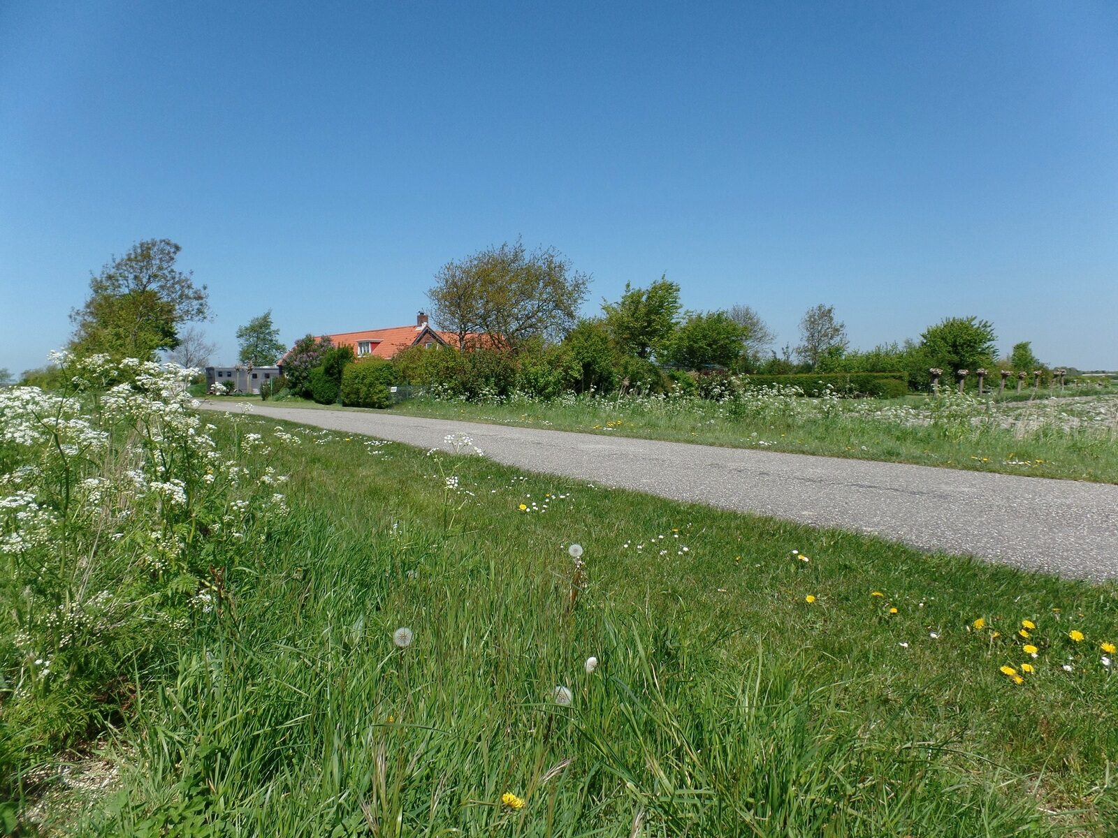 Ferienhaus - Kuyerdamseweg 17 - Ellemeet 'De Haerde'