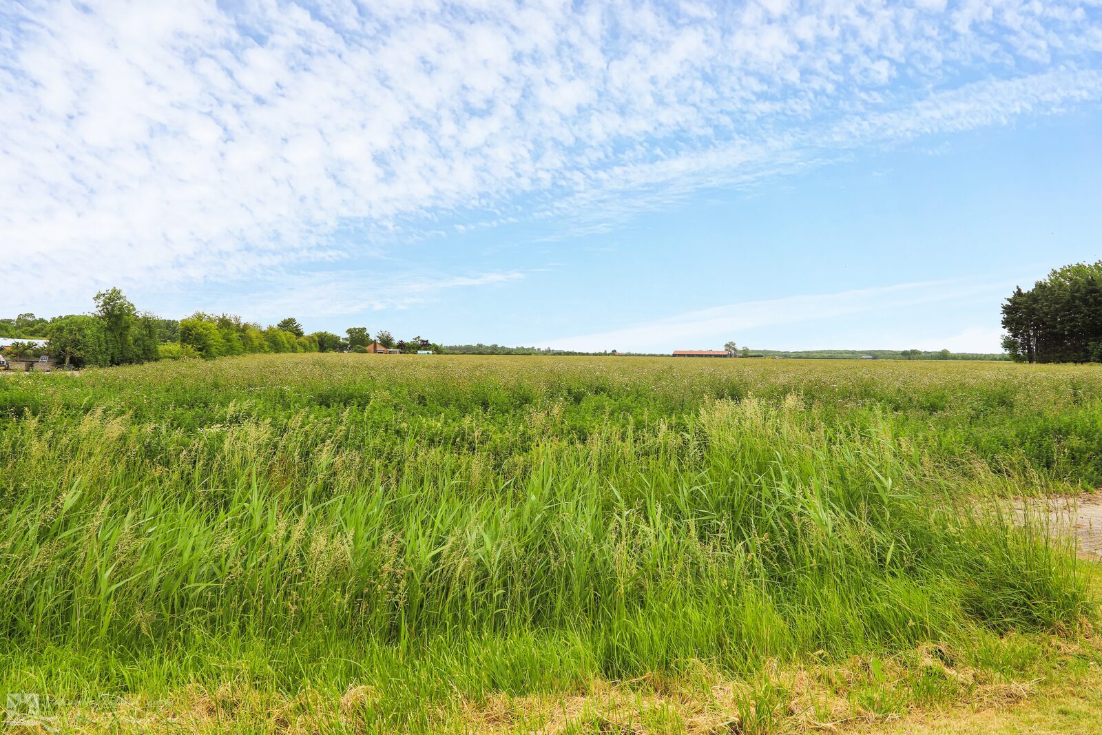 VZ161 Vakantiehuis Vrouwenpolder