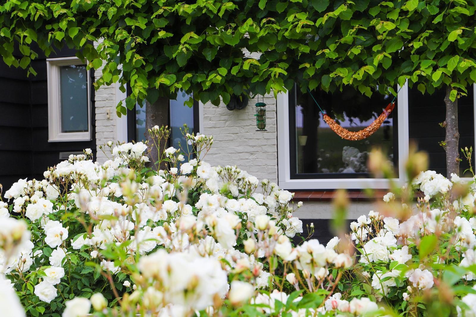 VZ736 Vakantiehuis Ellewoutsdijk