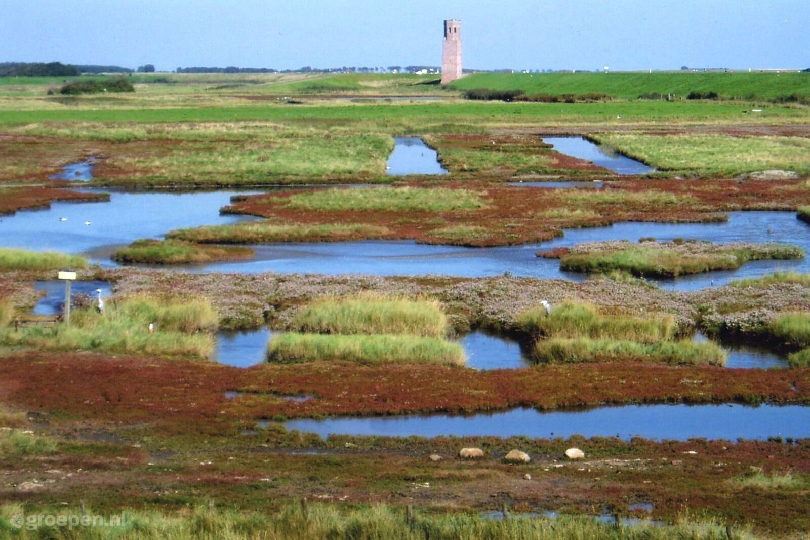 Haamstede
