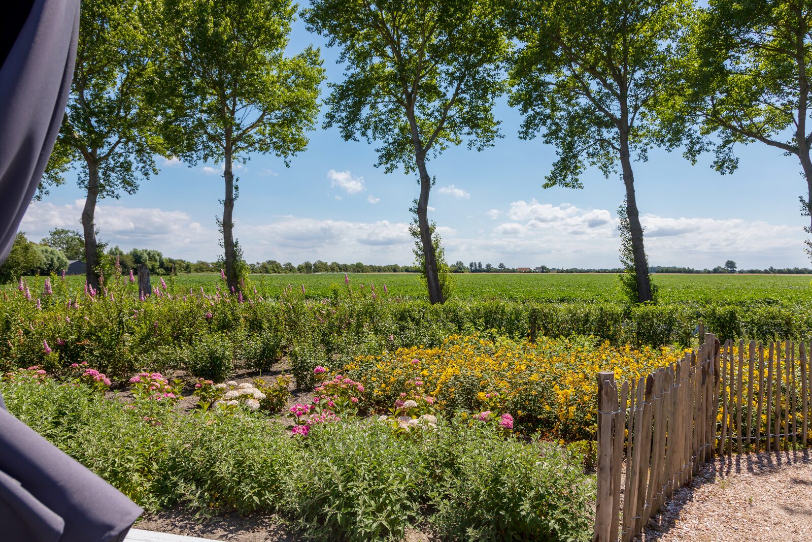 Ferienhaus - Lepelstraat 18A | Vrouwenpolder "'t Blauwtje"
