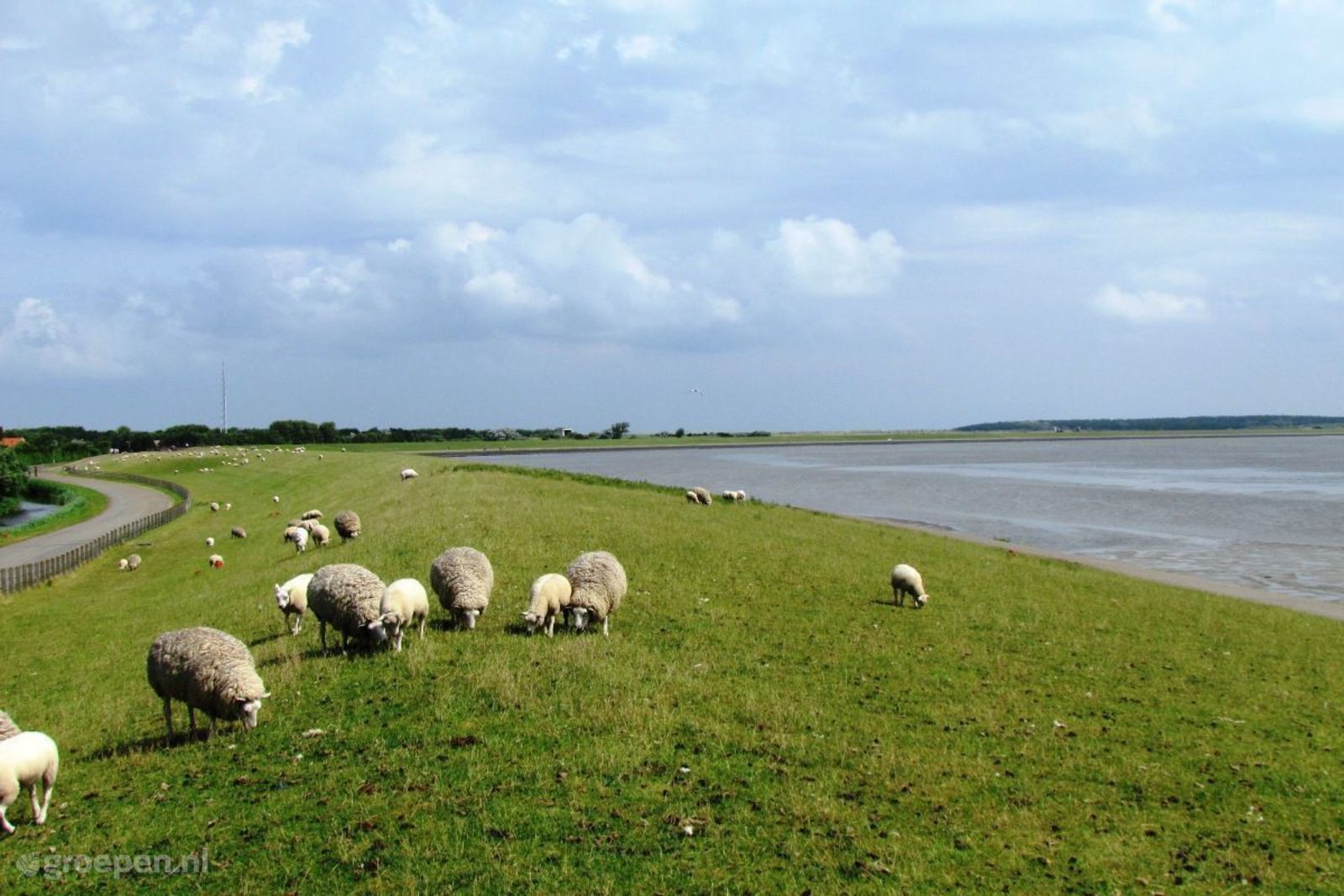 Ballum