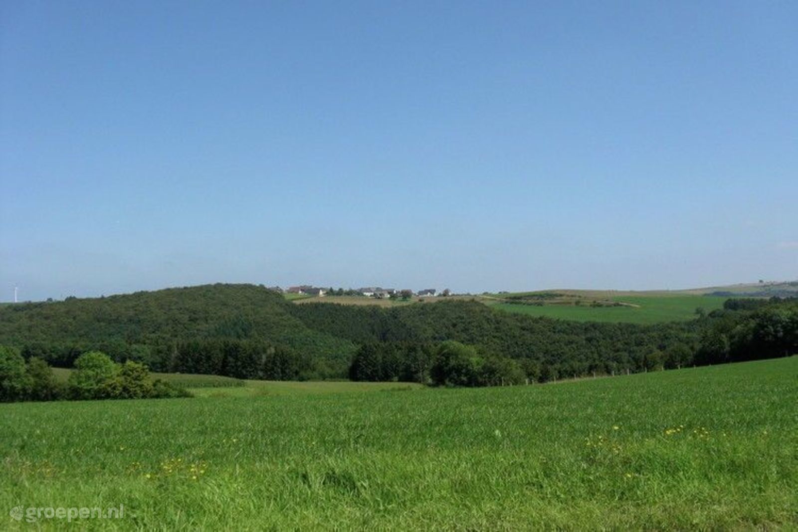 Ammeldingen