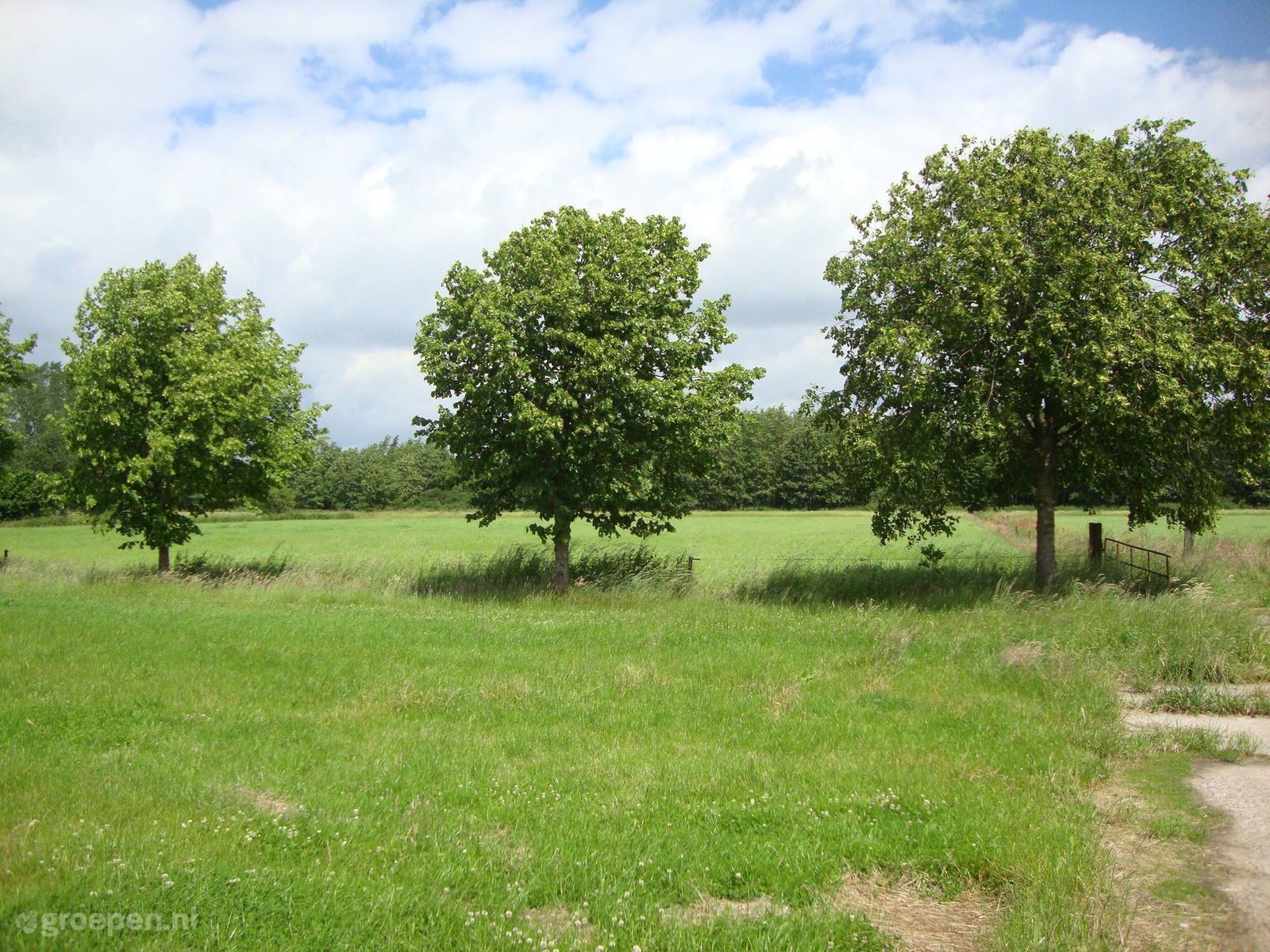 Achterveld