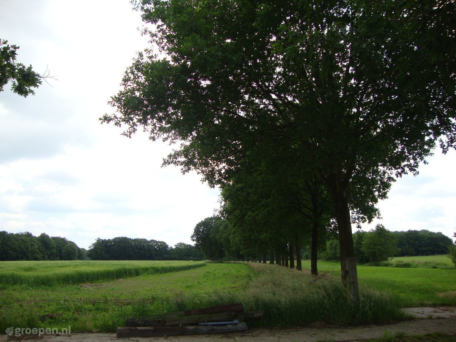 Achterveld