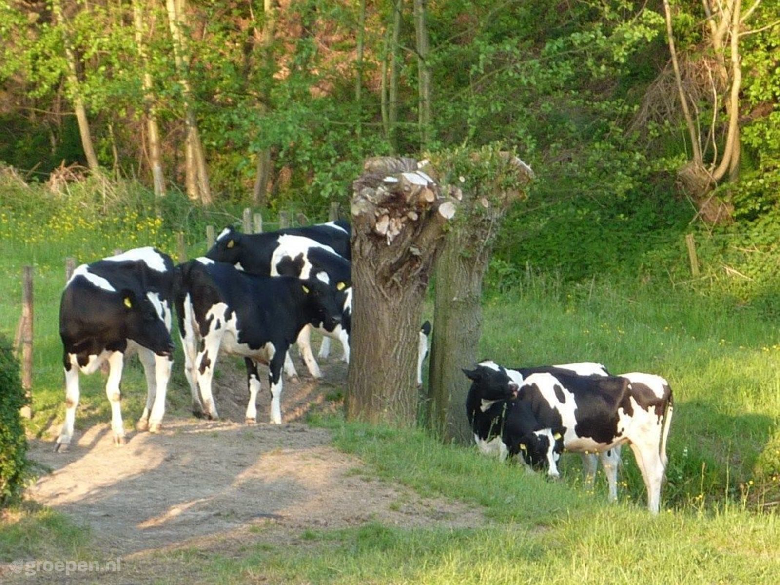 Bocholtz