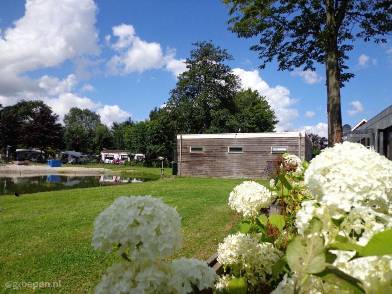 Bodegraven