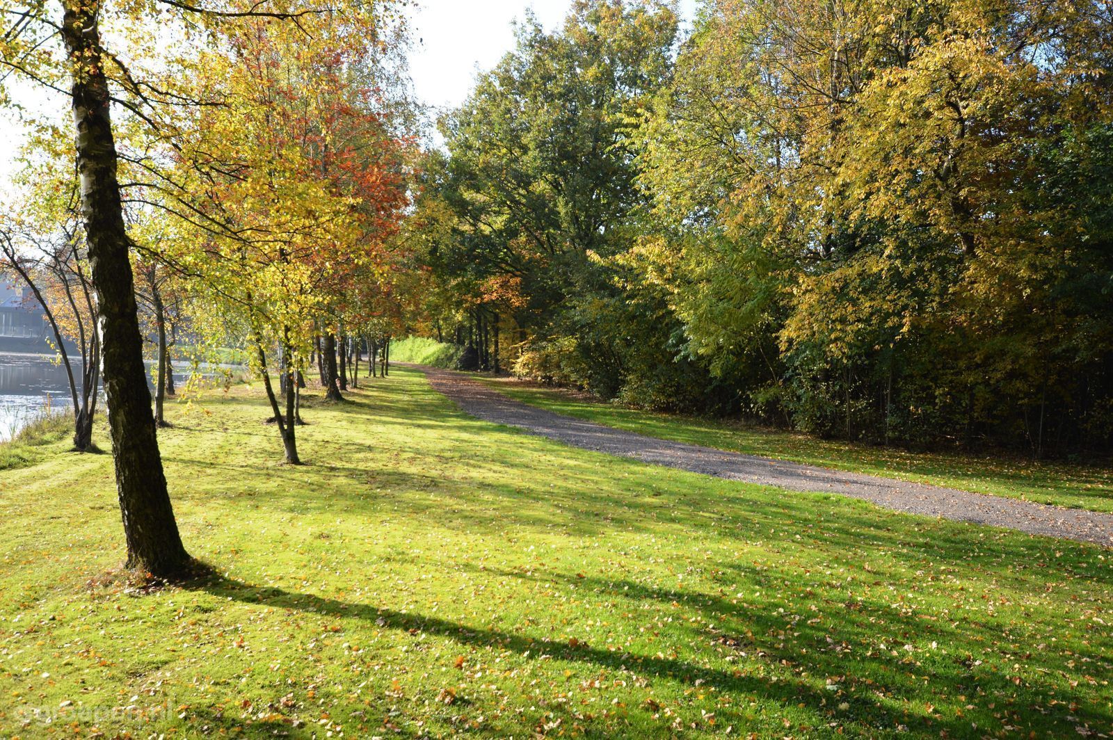 Denekamp