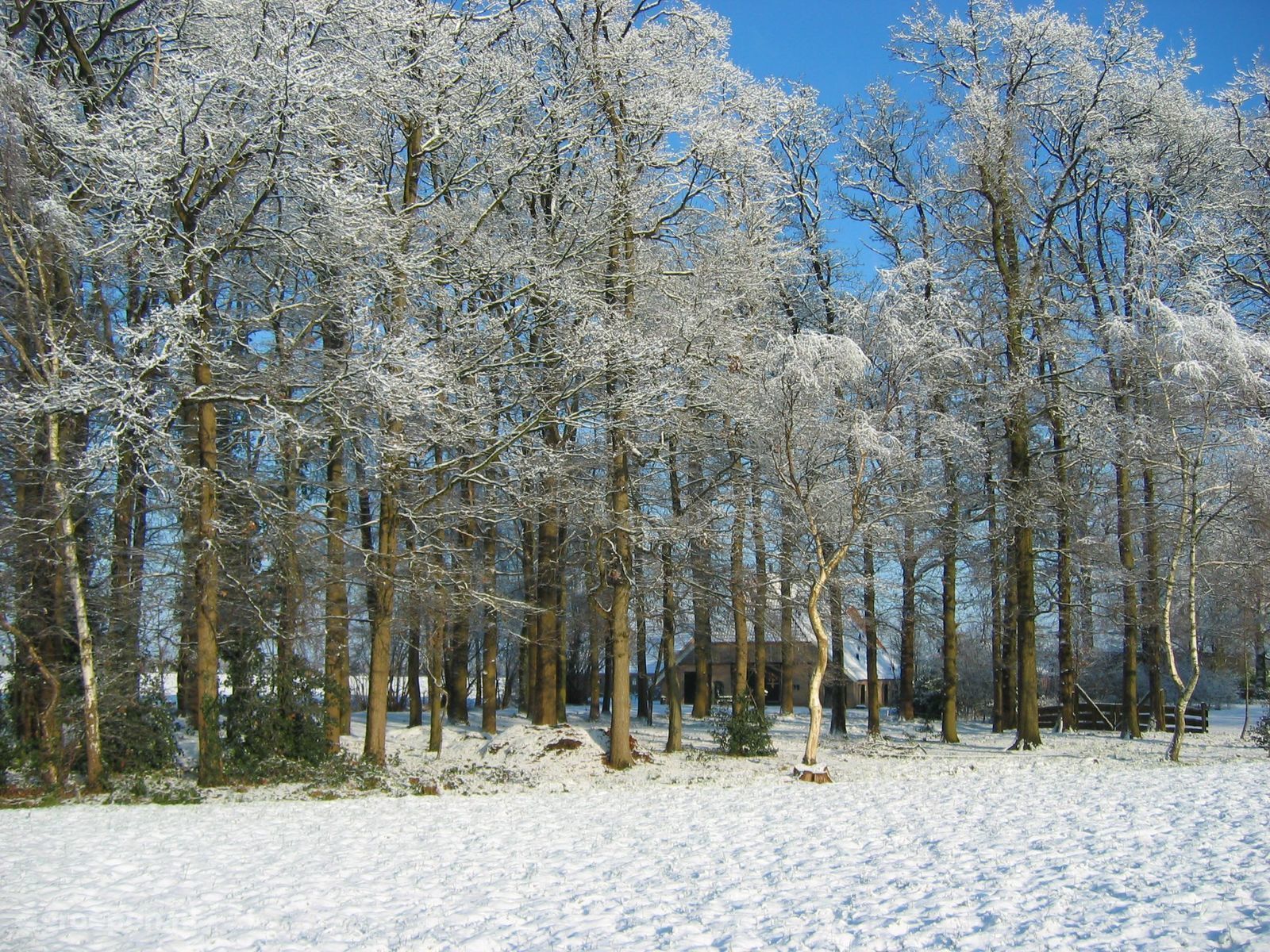 Eibergen