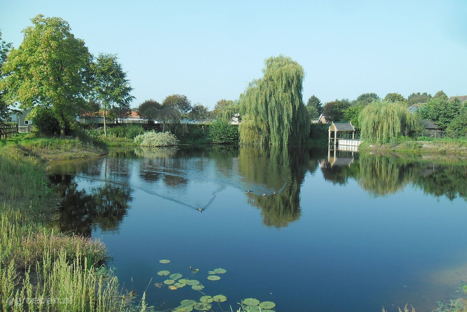 Heeswijk-Dinther
