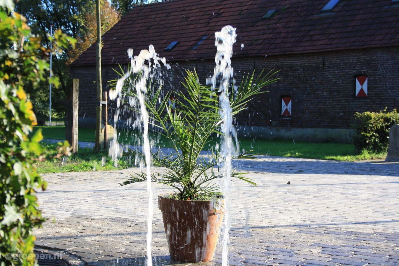 Maasbree