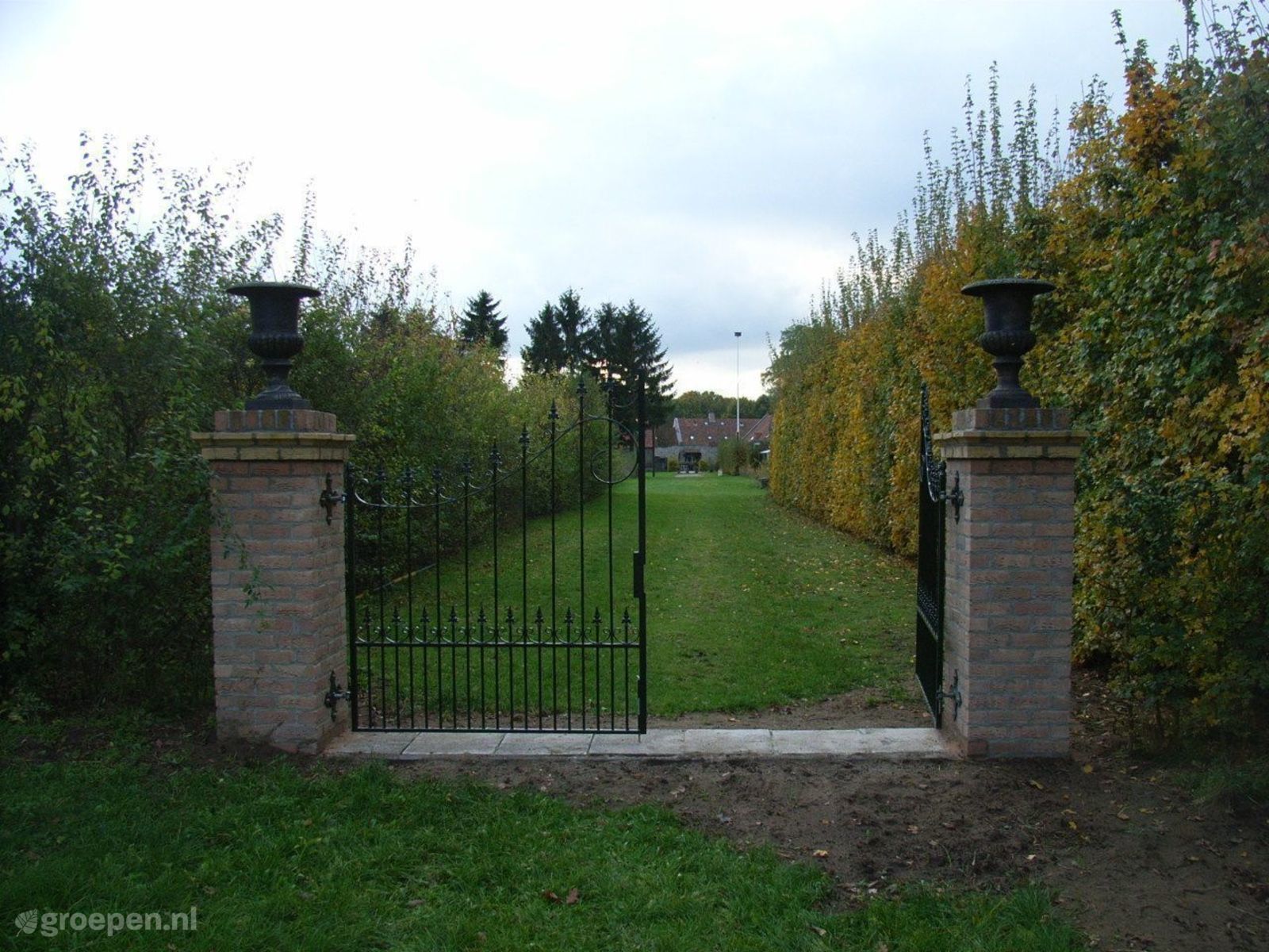 Maasbree