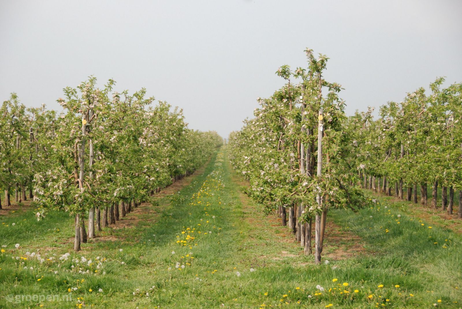 Voerendaal