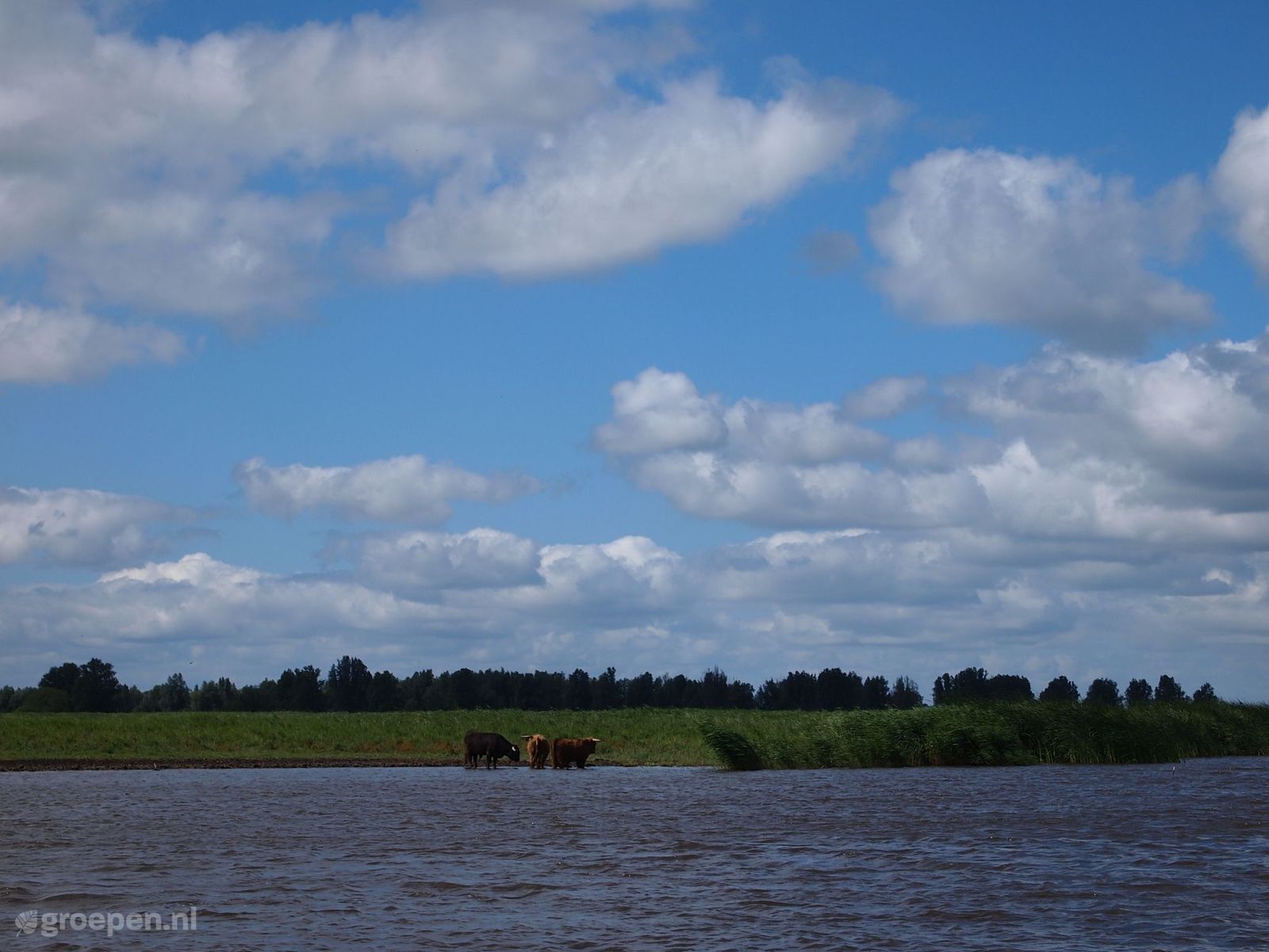 Wehe den Hoorn