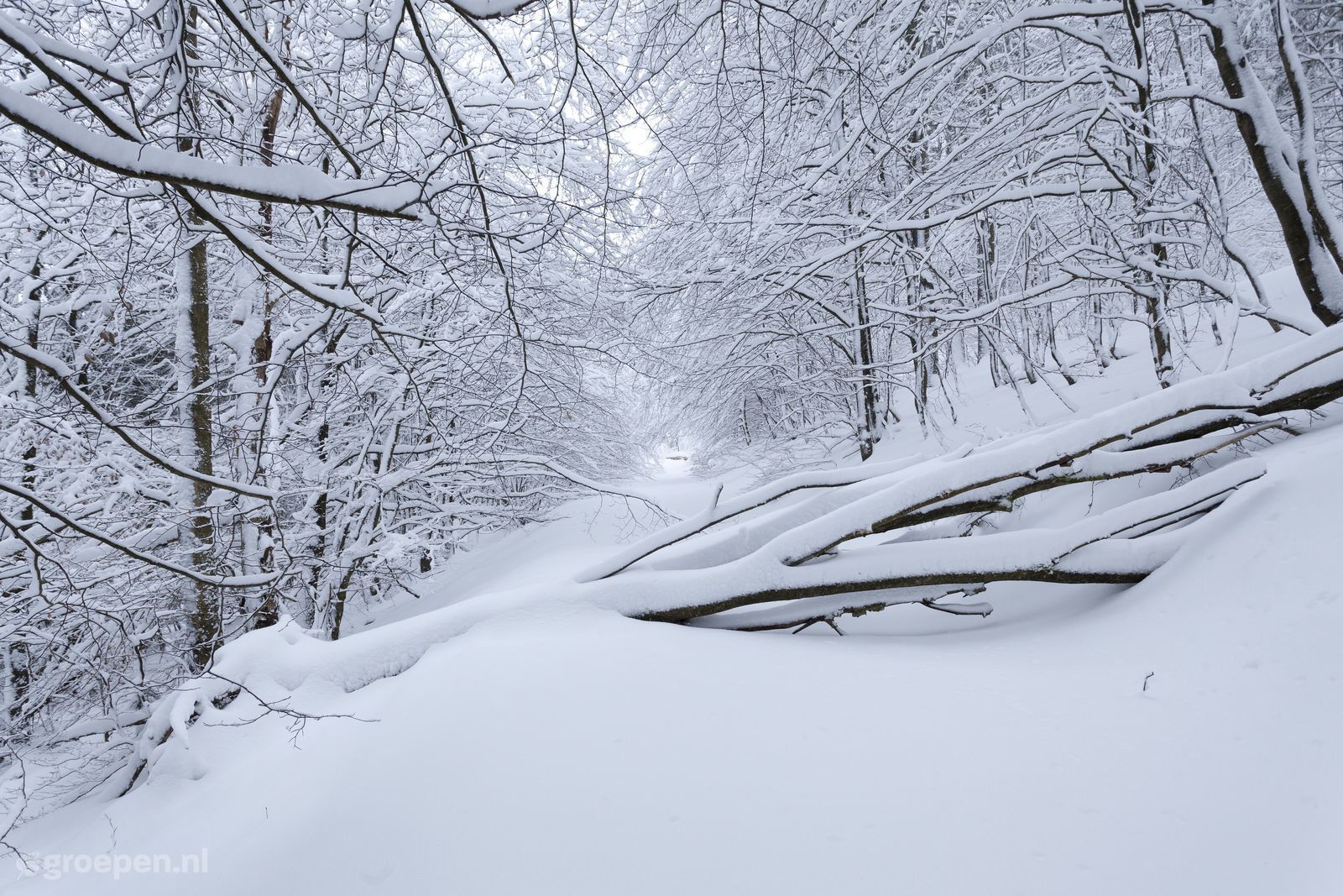 Winterberg