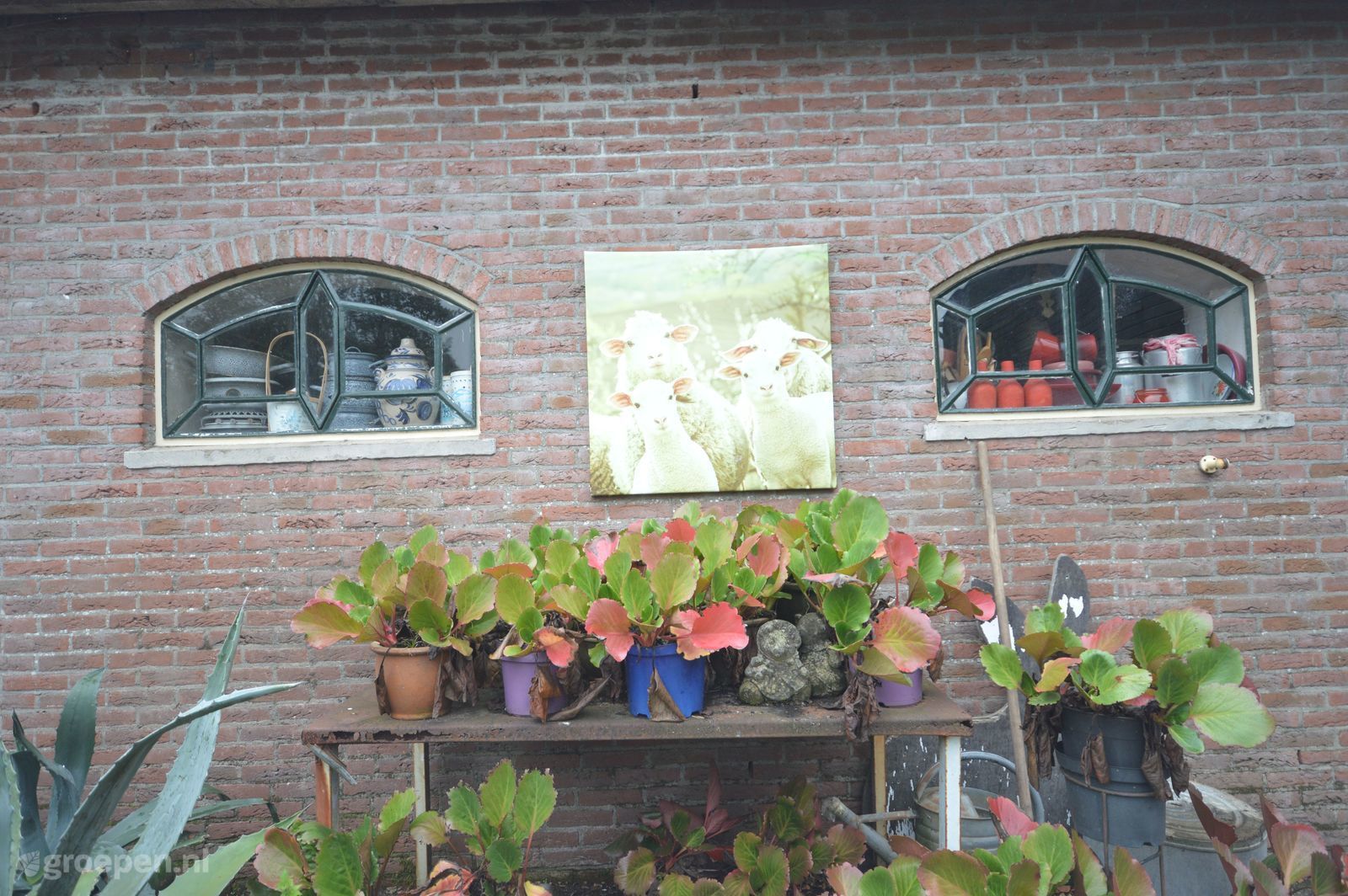 Bodegraven