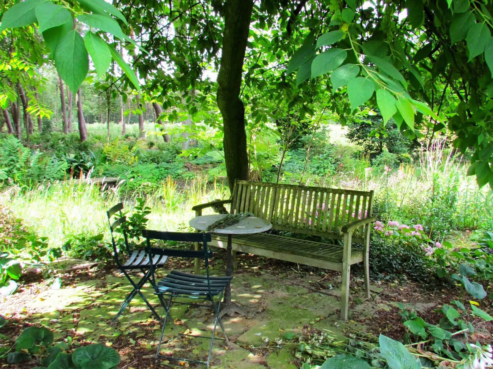 Buitenplaets de Heide Woonhuis - groot 14 persoons vakantiehuis in Twente voor actief familieweekend