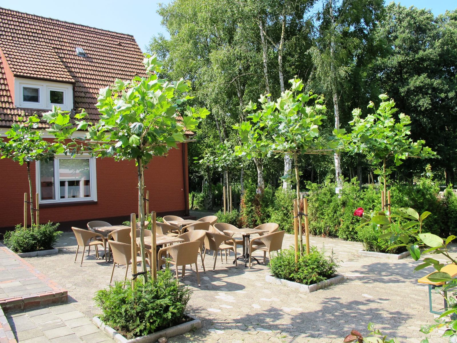 Afbeelding van Huize Backemoor Ostfriesland - luxe vakantievilla voor groepen
