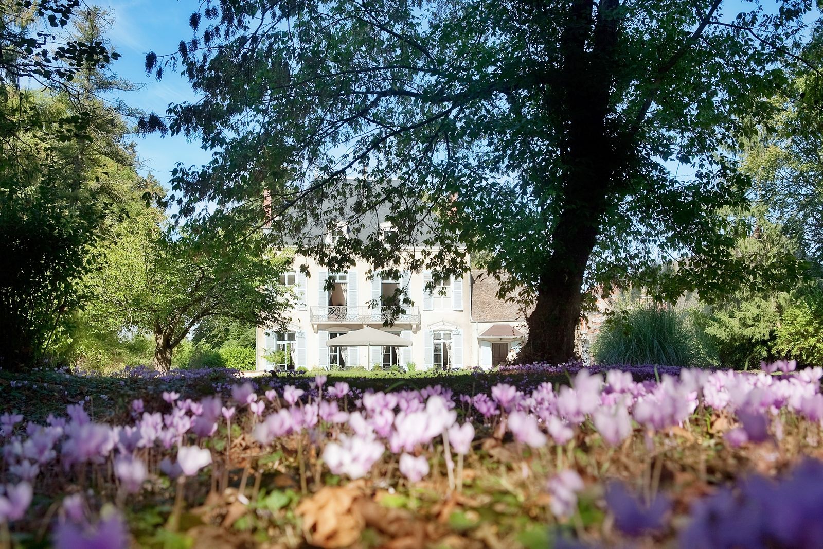 Afbeelding van Château le Kastel - luxe kasteelvakantie Frankrijk