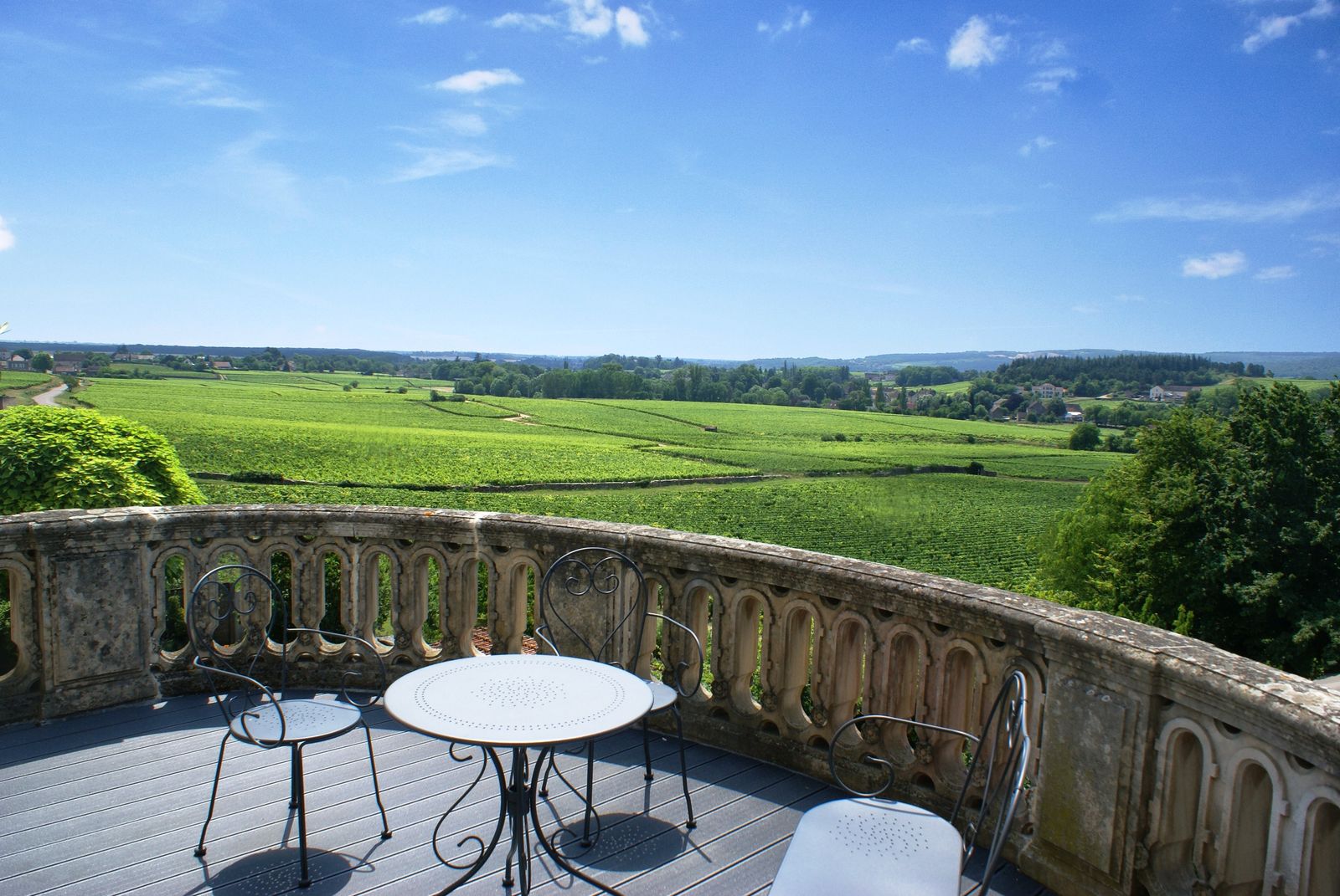 Afbeelding van Château Christophe Bourgogne - kasteelvakantie Frankrijk