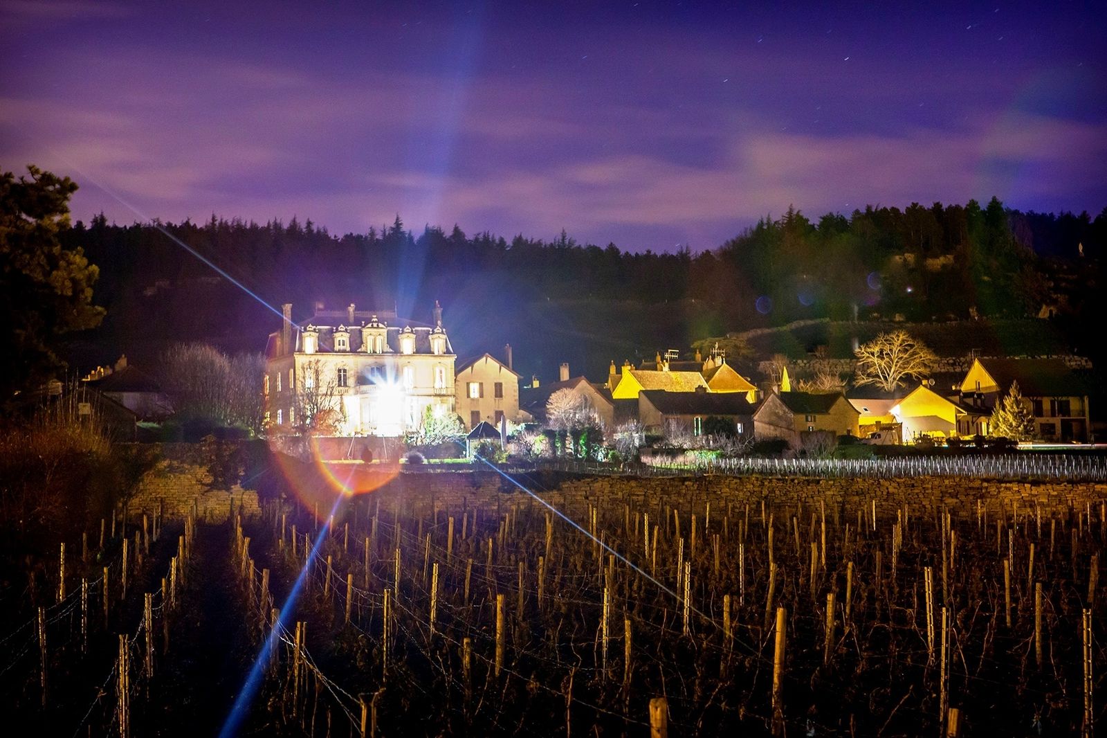 Afbeelding van Château Christophe Bourgogne - kasteelvakantie Frankrijk