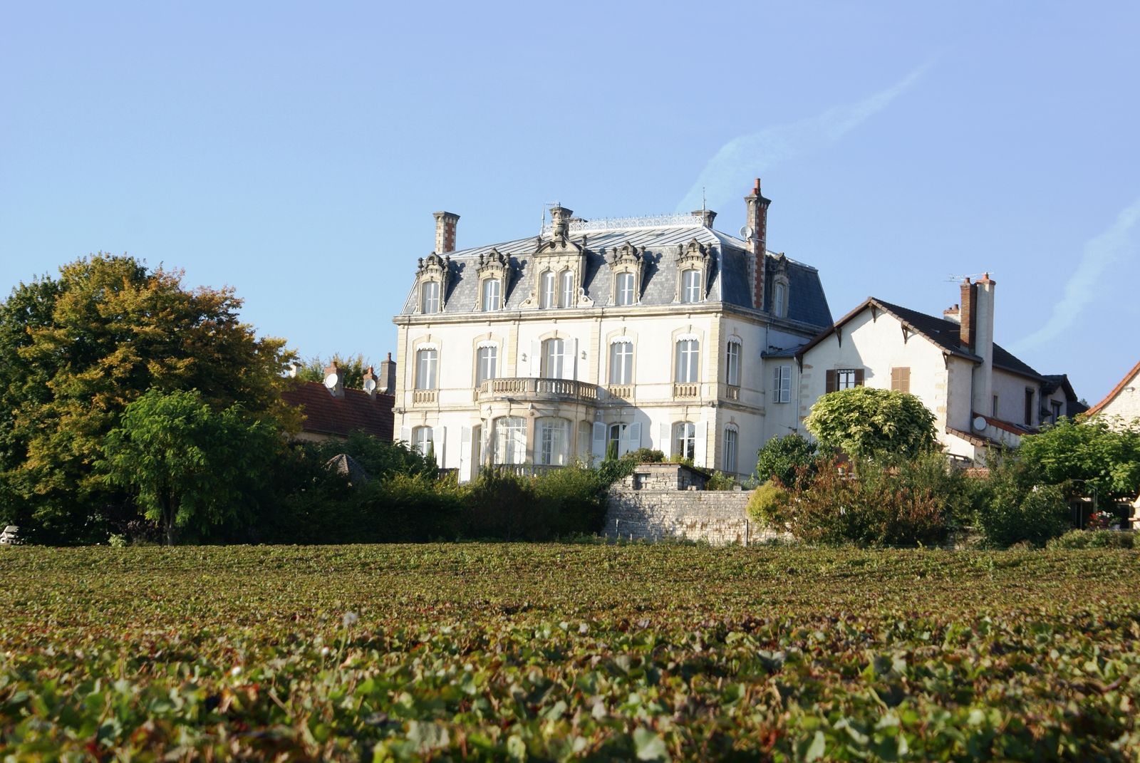 Afbeelding van Château Christophe Bourgogne - kasteelvakantie Frankrijk