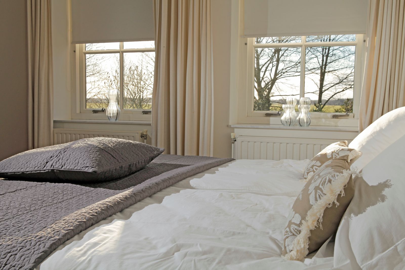 Afbeelding van Villa + Gastenverblijf de Hondsrug - luxe vakantiehuis Drenthe met hottub