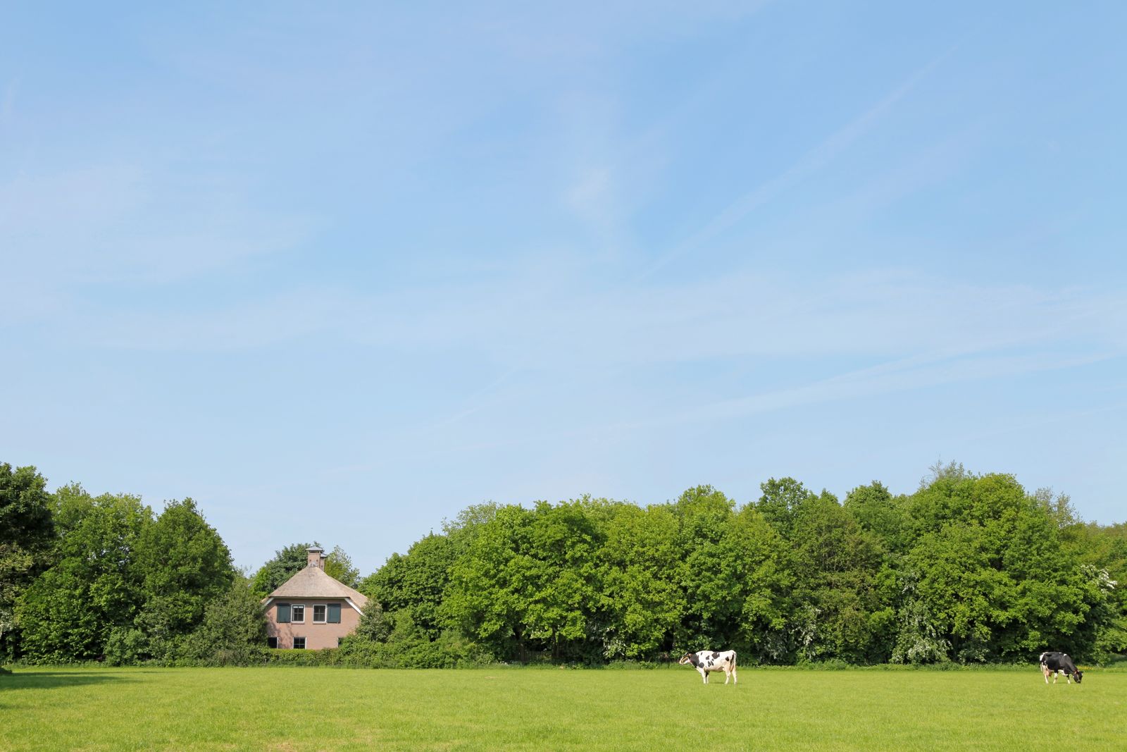 Afbeelding van Villa + Gastenverblijf de Hondsrug - luxe vakantiehuis Drenthe met hottub