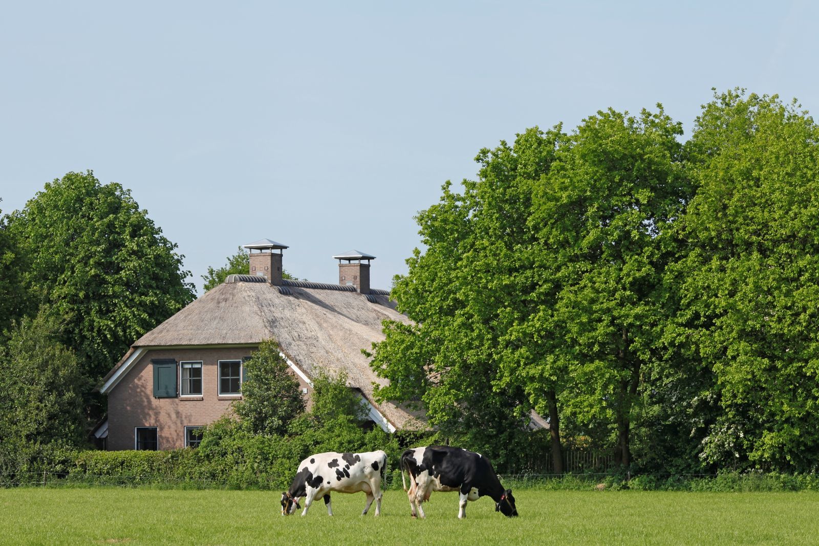 Villa + Gastenverblijf de Hondsrug - luxe vakantiehuis Drenthe met hottub