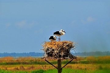 Afbeelding van Domaine les Marées - 4. Au Rythme des Marées - vakantiehuizen Frankrijk