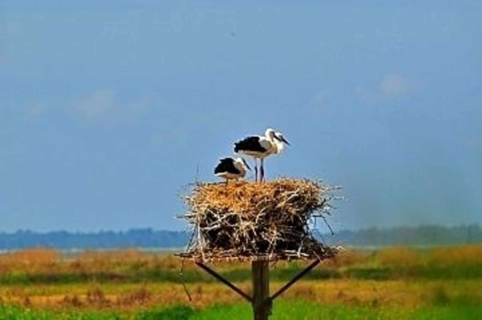 Domaine les Marées - 4. Au Rythme des Marées - vakantiehuizen Frankrijk