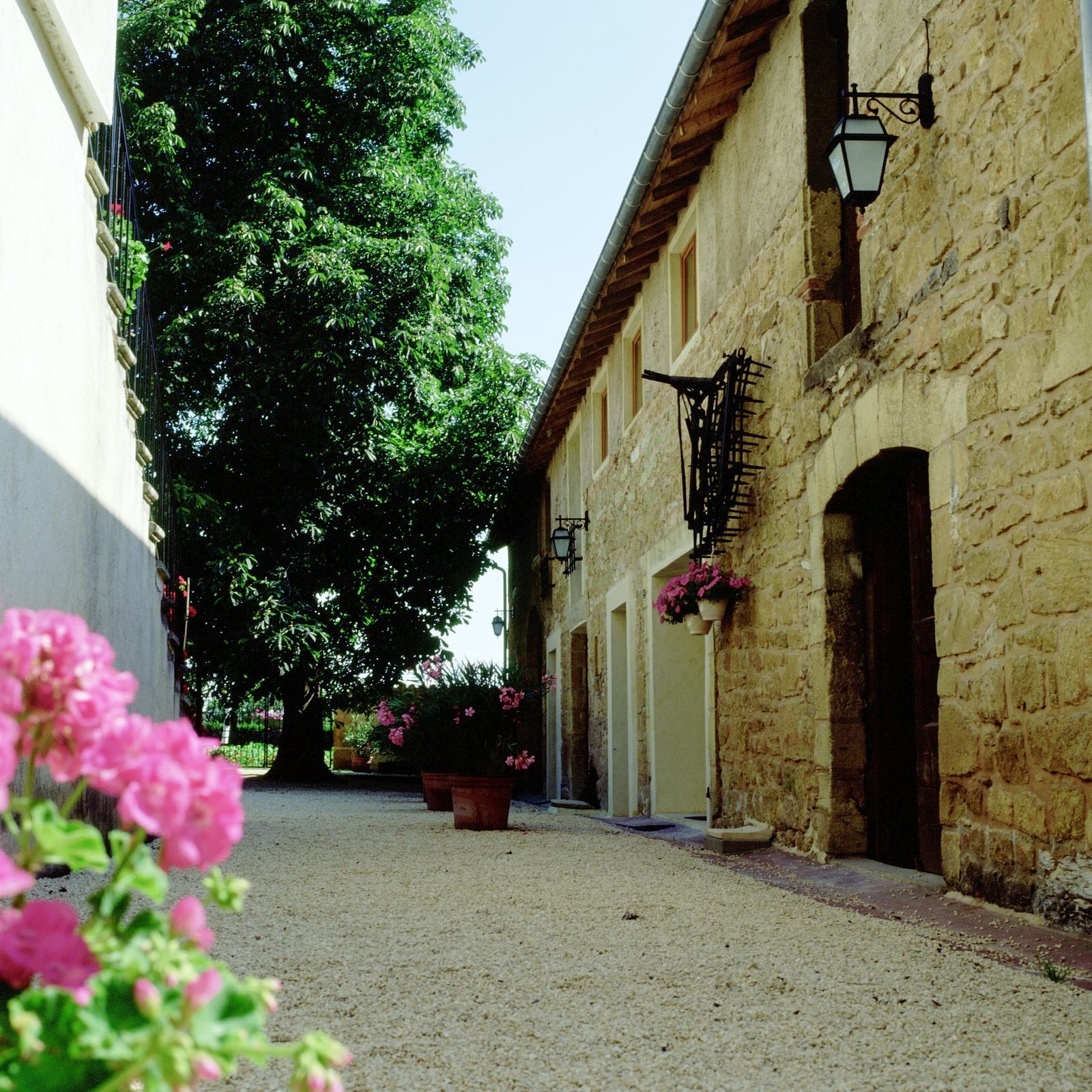 Afbeelding van Chateau Prayssac - C vakantiehuis met zwembad