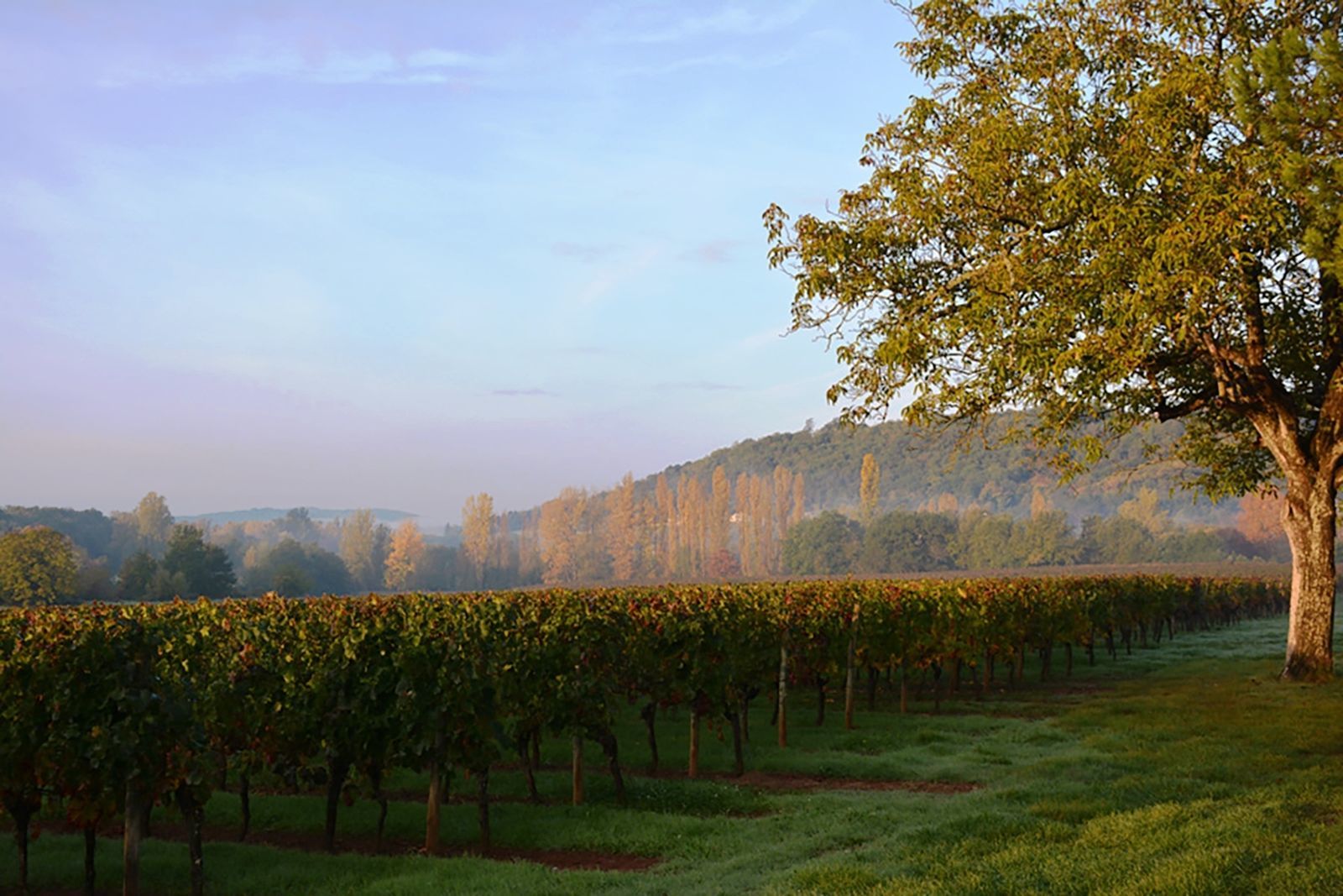 Chateau Prayssac - A op kleinschalig vakantiepark met zwembad