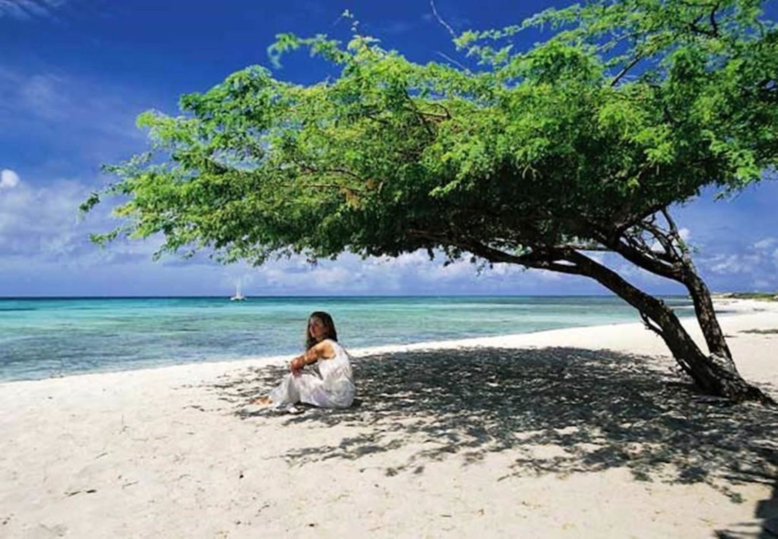 Various resorts