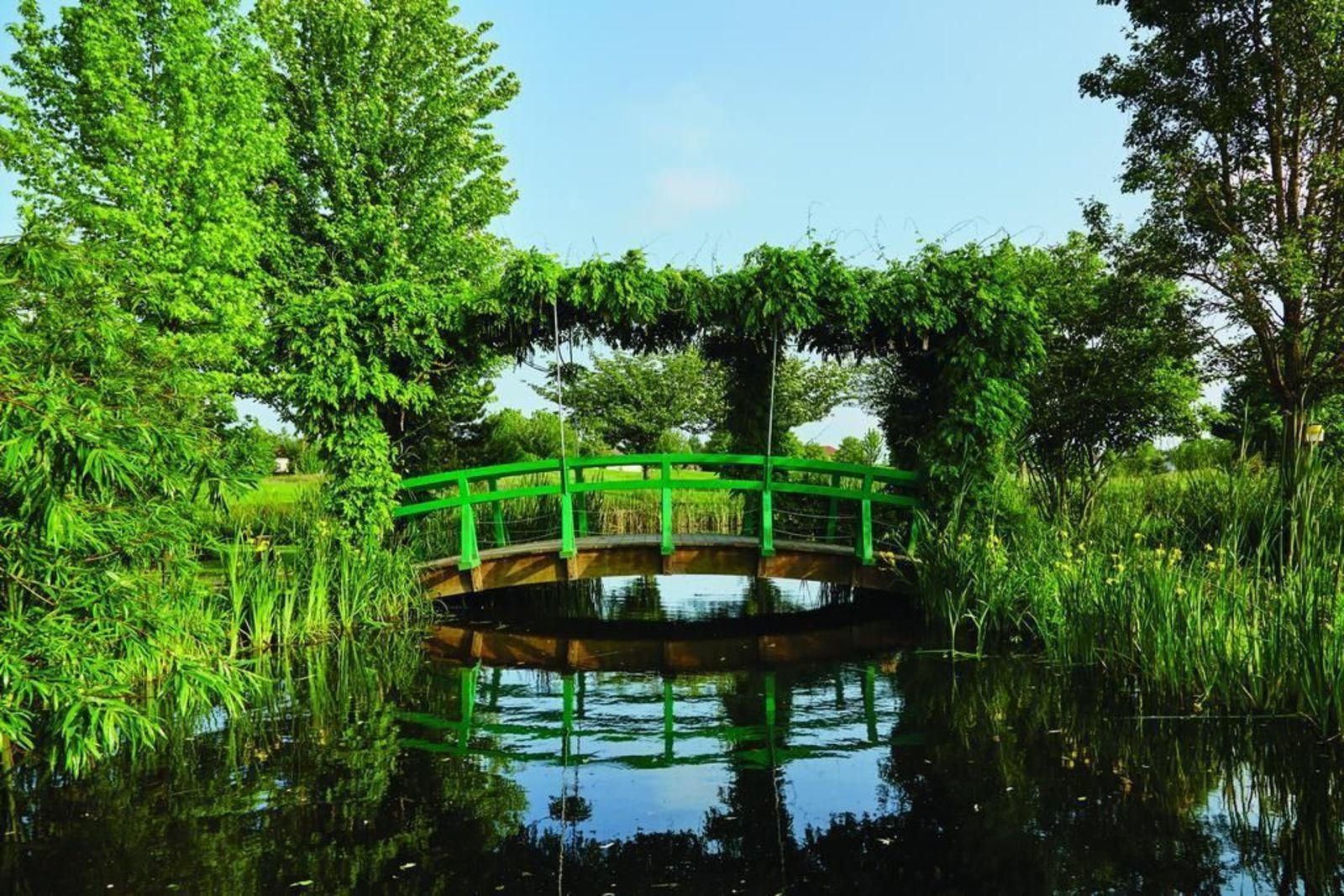 Marriott's Village d'ile-de-France (near Disneyland Paris), Studio