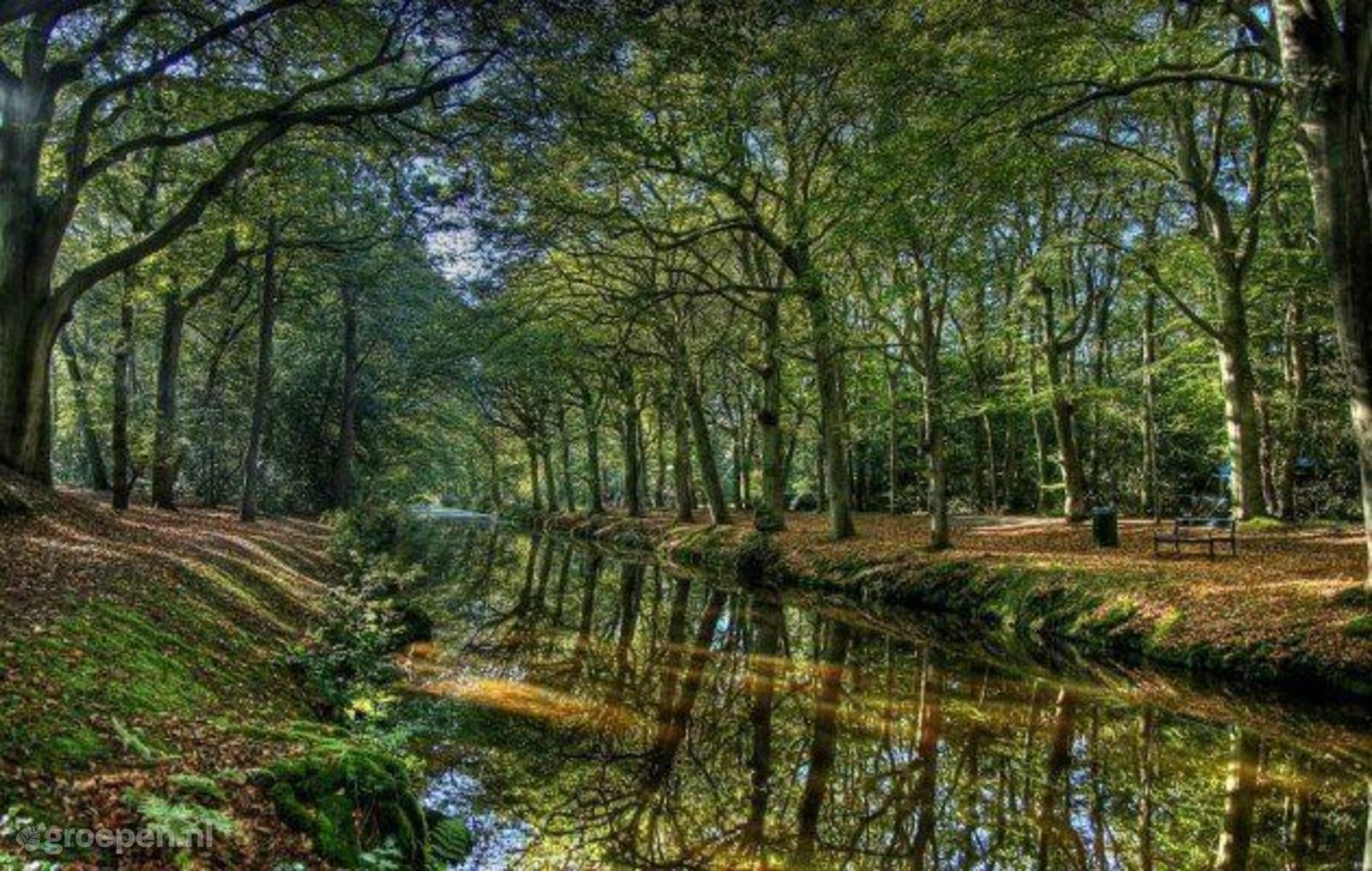 Schoorl