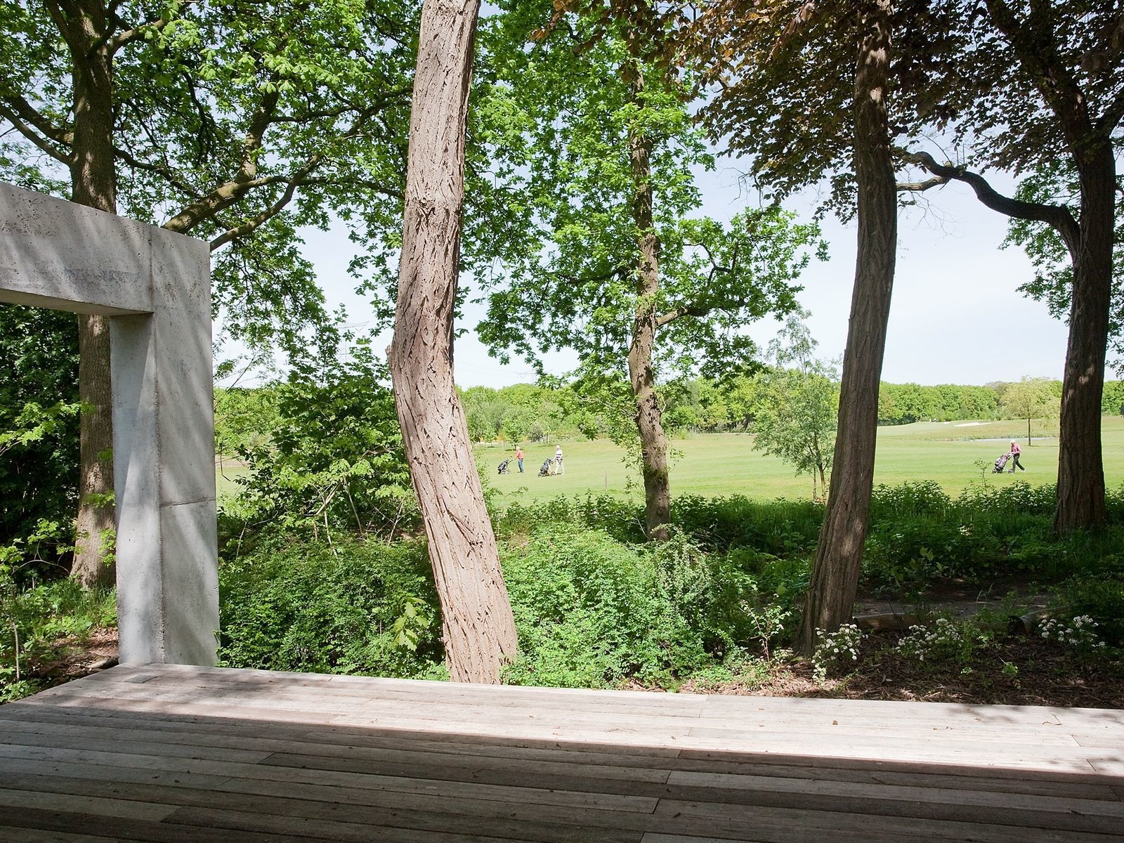 Betonnen Boshuis - luxe vakantiehuis in Brabant