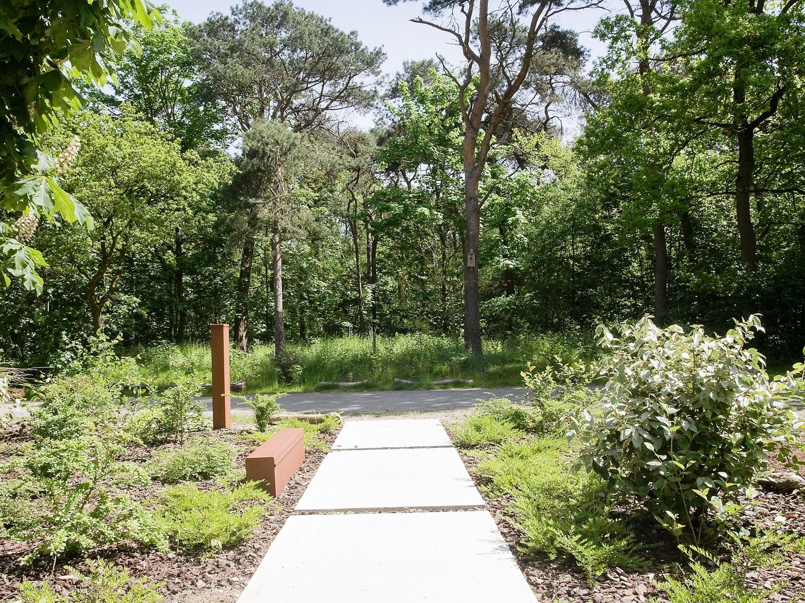 Afbeelding van Stalen Boshuis - luxe vakantiehuis met sauna in Brabant