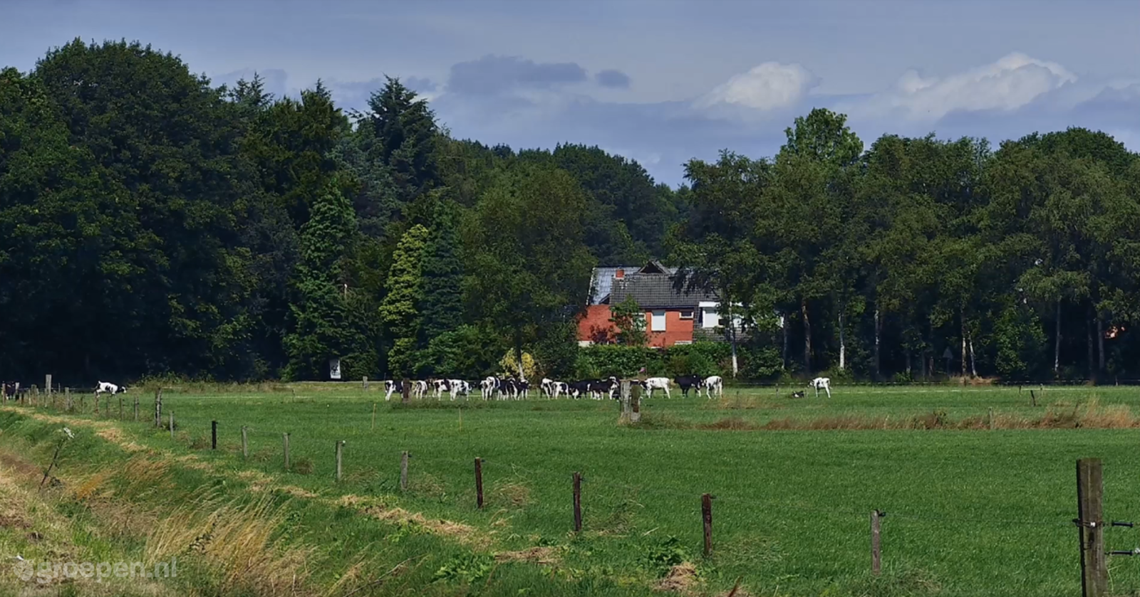 Fluitenberg