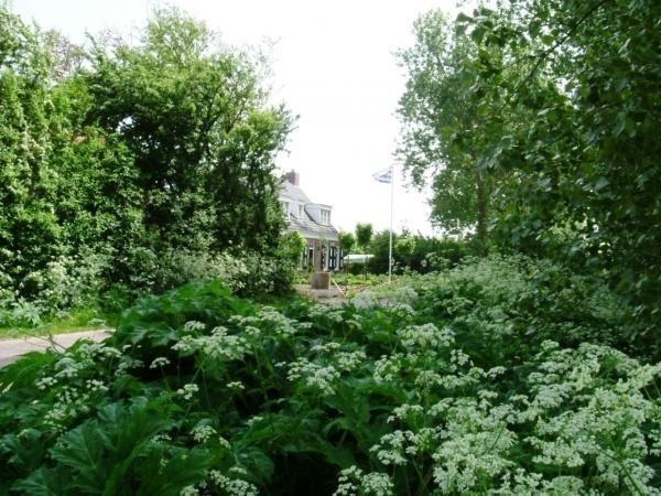 Afbeelding van VZ055 Chalet Oostkapelle